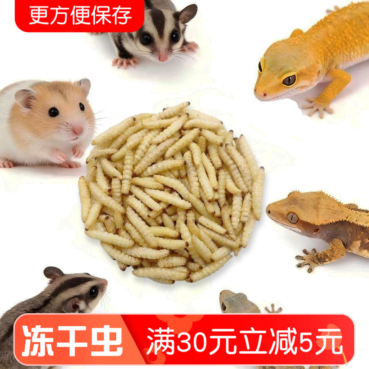 冻干蜂蜜虫干蜜袋鼯藏书金丝熊吃