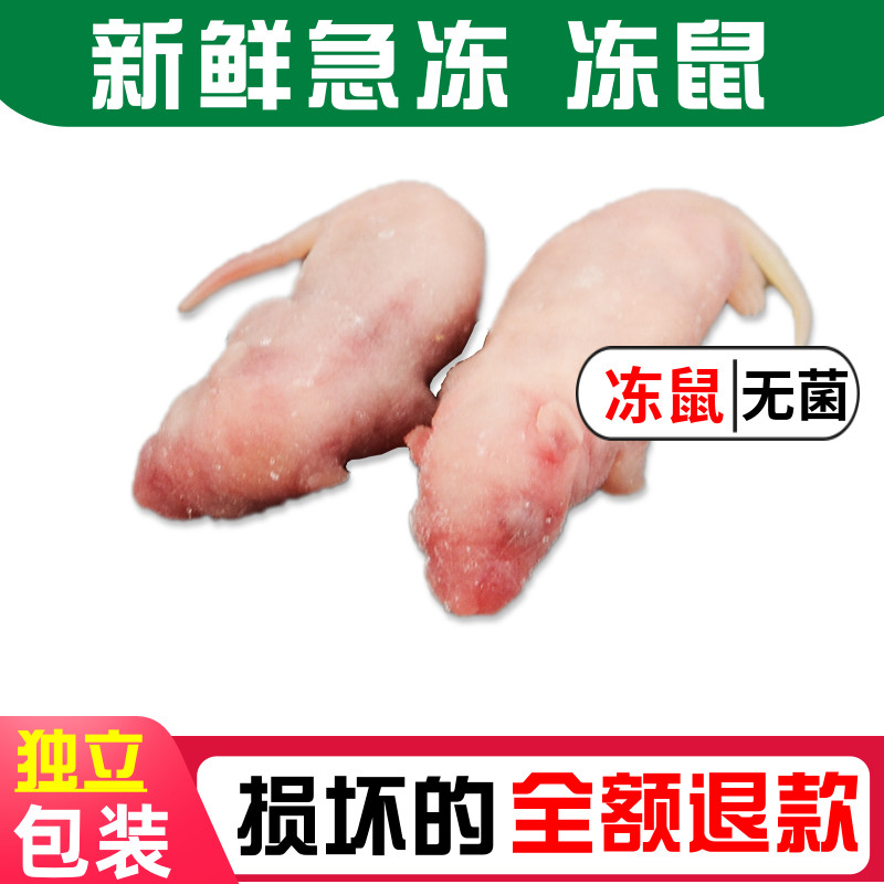 无菌冻鼠宠物蛇粮食猫咪零食