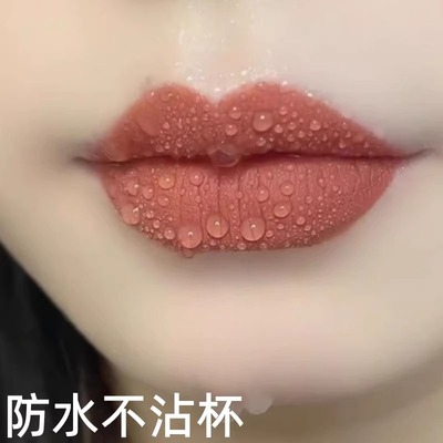 法国正品不沾杯不掉色肉桂奶茶豆沙胡萝卜口红雨衣唇釉显白防水