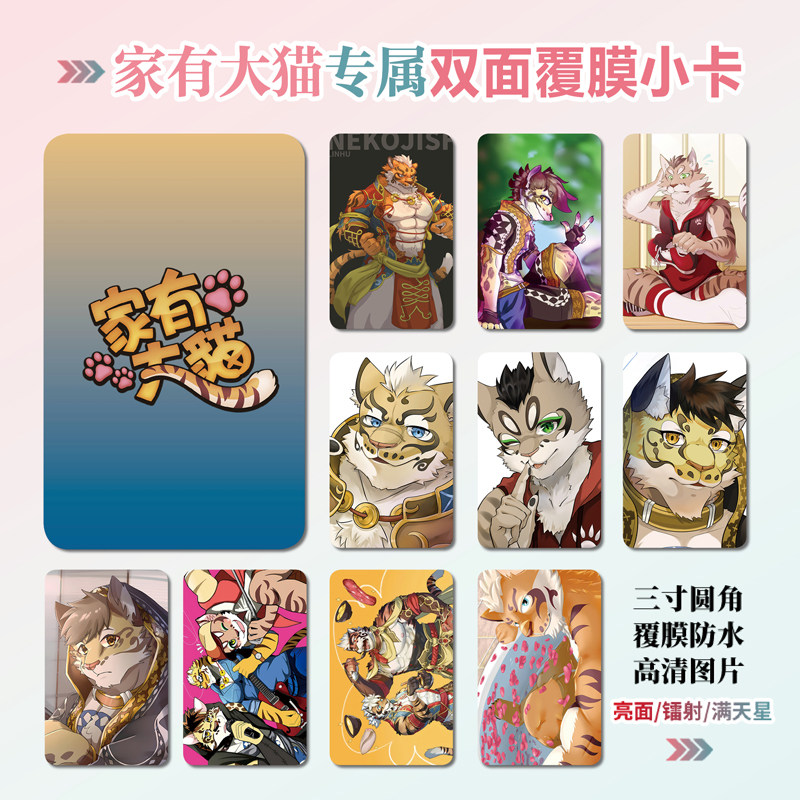 家有大猫镭射小卡贴纸照片
