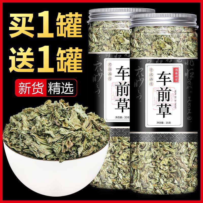 车钱草干货袋泡茶中药种子野生新鲜干车前草凉茶中药材金钱车轮草