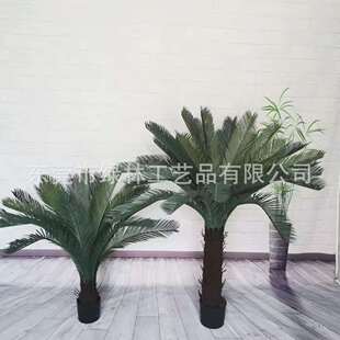 仿真铁树盆栽室内苏铁大树人造园林景观加绿色植物铁树仿真绿植