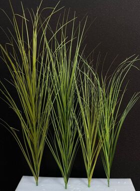 90m仿真绿色单枝芦苇草洋葱草地排打底杂草地面造景装饰假绿植