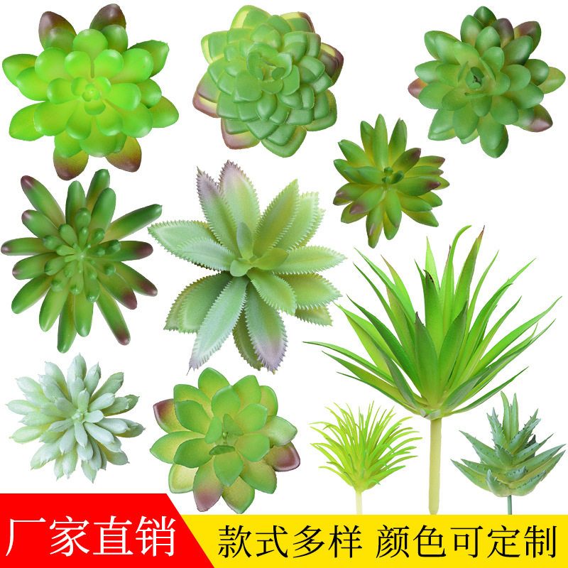 仿真多肉植物绿植装饰盆栽 仙人掌家居摆件组合套装假多肉盆景