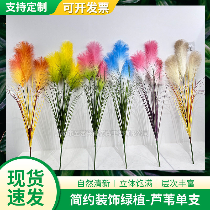 彩色仿真芦苇单支 仿真洋葱草芦苇草仿真花单枝家居装扮仿真绿植