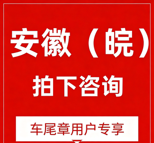 安徽违章（自助）