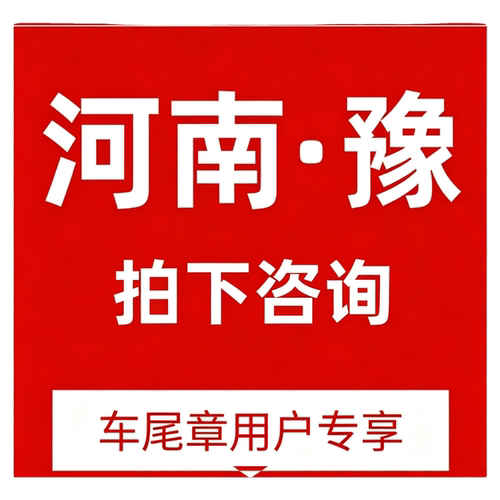 河南违章（自助）