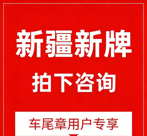 新疆违章（自助）