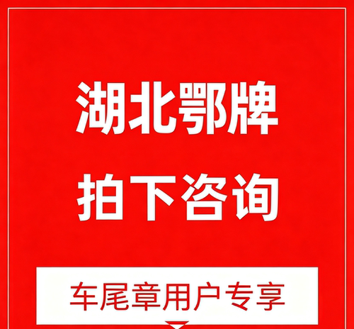 湖北违章（自助）