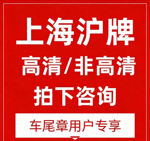 上海违章（自助）