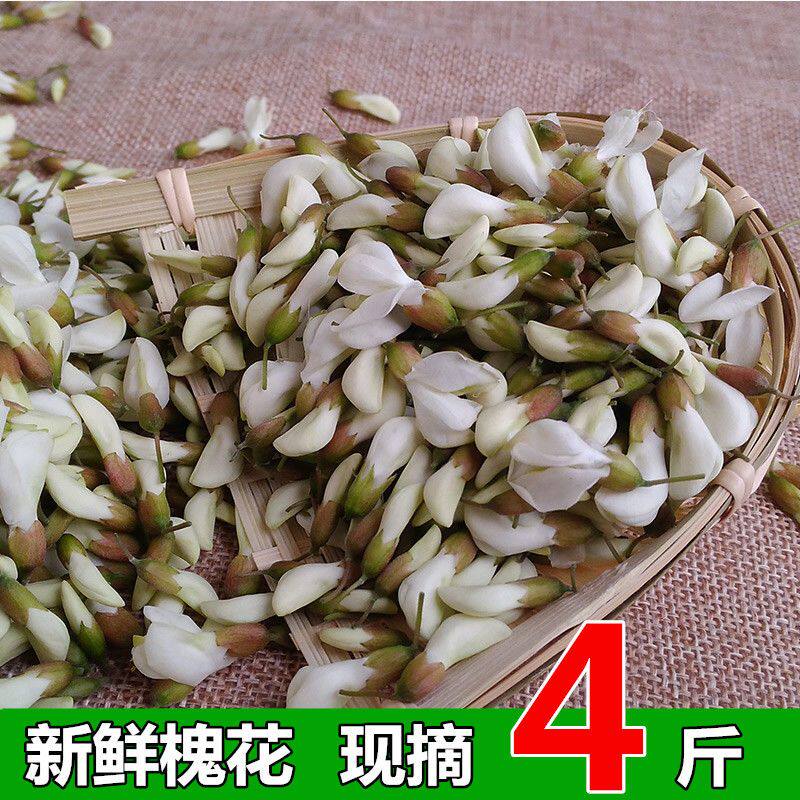 槐花新鲜现摘现发花苞花骨朵洋槐花2026年农家时令野菜蒸菜包邮