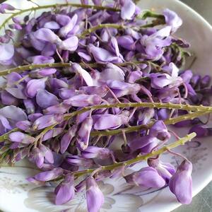 新鲜葛花现摘现发头茬整串花骨朵花苞2026年河南农家时令野菜包邮