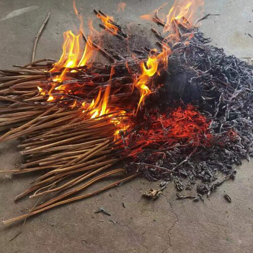 芝麻杆灰干芝麻杆整颗芝麻杆子河南优质中药材芝麻杆子芝麻梗新货