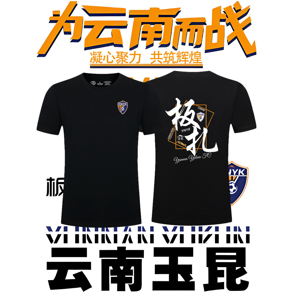 云南玉昆队2025为云南而战足球迷服纯棉短袖男士t恤衫上衣服定制