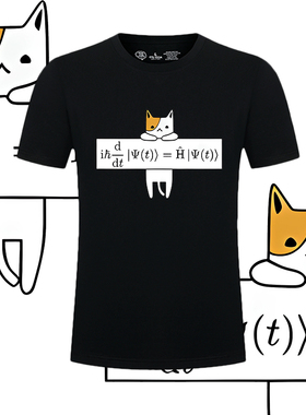 Schrödinger方程式薛定谔猫纯棉短袖T恤男女情侣宽松衣服潮流