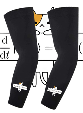 Schrödinger方程式薛定谔猫周边防晒套袖男女情侣宽松潮流冰丝袖