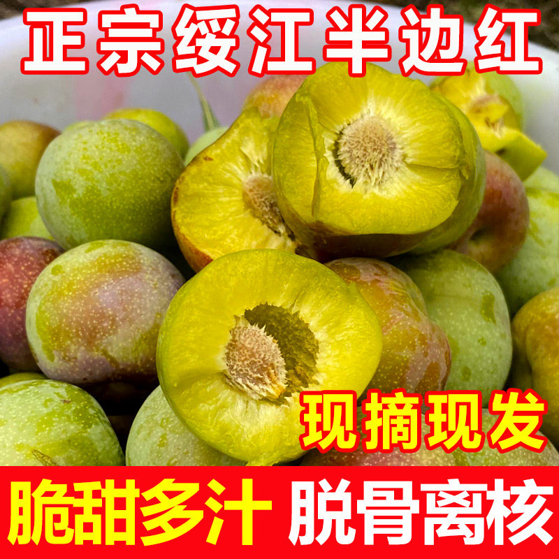 精品云南半边红脆李子新鲜水果