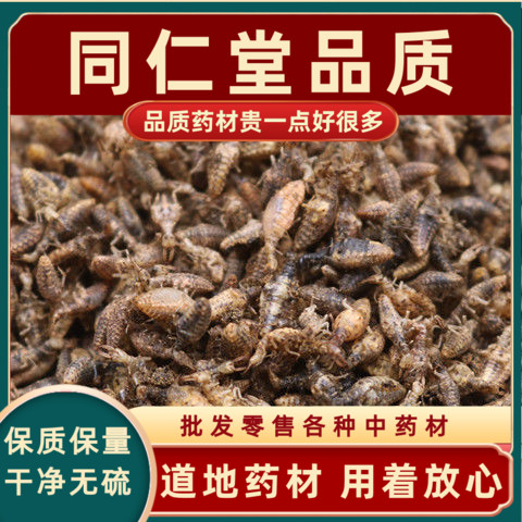 金沙牛中药材野生蚁狮金砂牛蚂岭虫广西地牯牛沙牛虫10g克同仁堂