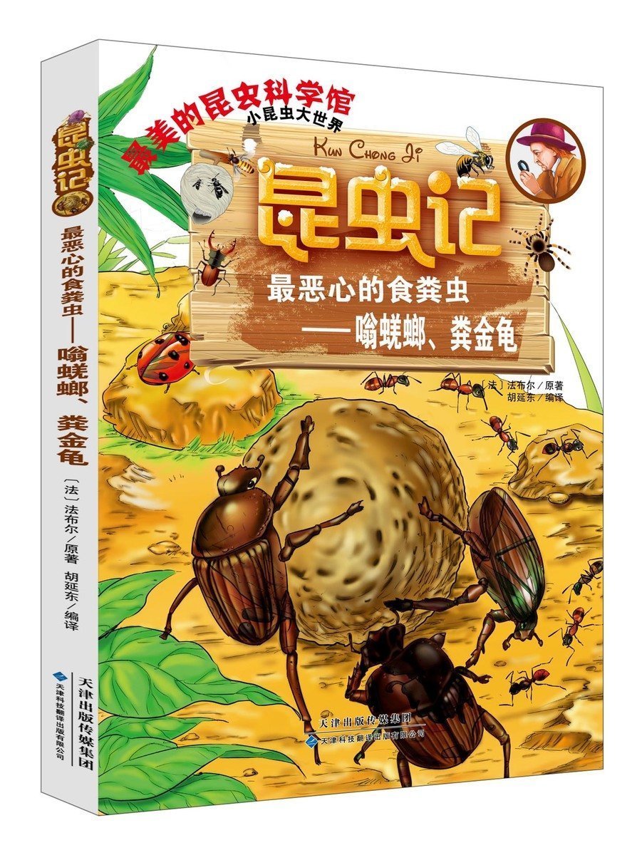 昆虫记 zui恶心的食粪虫—嗡蜣螂,粪金龟 法布尔 昆虫记 彩图版