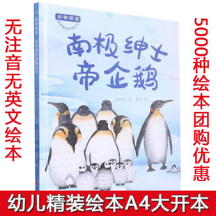 绘本幼儿园阅读有趣 动物百科南极绅士帝企鹅有关动物 动物大中小班图画书睡前故不注音图多字少 绘本动物探索·超有趣 硬壳精装