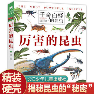 精装硬壳 千奇百怪的奇特昆虫 孩子爱不释手的昆虫翻翻书 立体书 儿童3d 3-6-8岁小学生亲子阅读幼儿一年级二年级益智