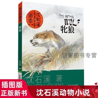 正版书籍 牝狼 动物小说大王沈石溪获奖作品画本图画本第一辑 6-9-12岁小学生一二三四年级课外阅读文学励志绘本