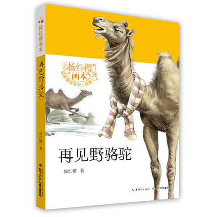 大开本精美绘画