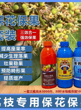 荔枝保花保果防落果稳果壮果提质增产预防畸形提高座果率强效保果