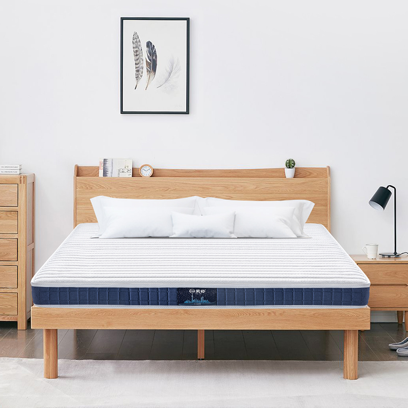 爱舒椰棕软硬两用爱舒薄弹簧床垫