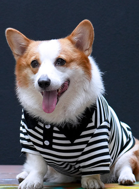 Tiger dog春秋冬柯基柴犬边牧中型犬狗条纹卫衣泰迪POLO衫衣服