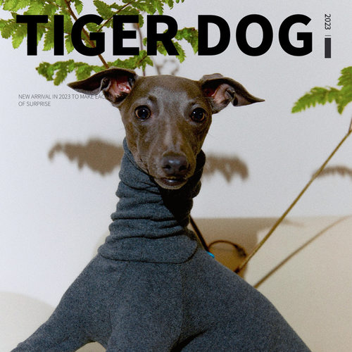 Tiger dog春秋冬棉意大利灵缇格力犬惠比特保暖打底四脚衣衣服