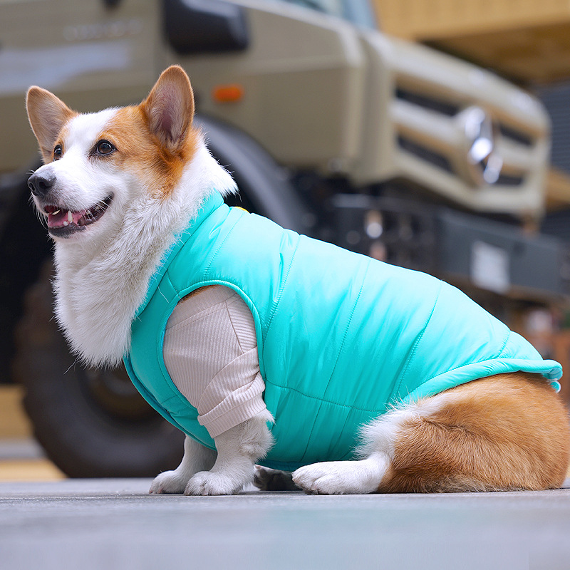 Tiger dog冬新宠物狗中型犬柯基柴犬保暖抗寒防风棉衣坎肩马甲