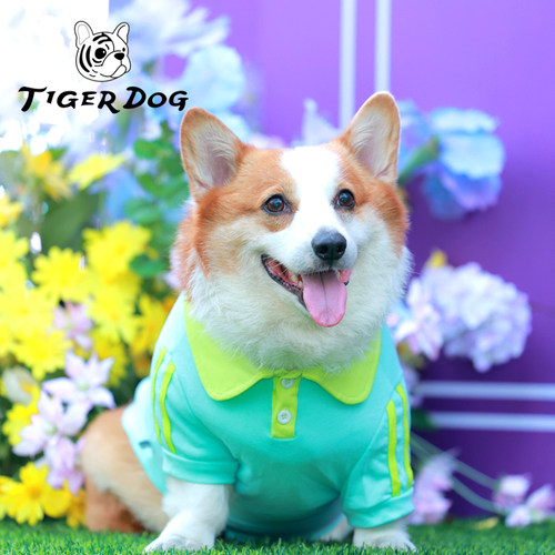 TIGERDOG秋冬宠物中型犬狗狗柯基柴犬POLO衫园服装衣服工作班群服