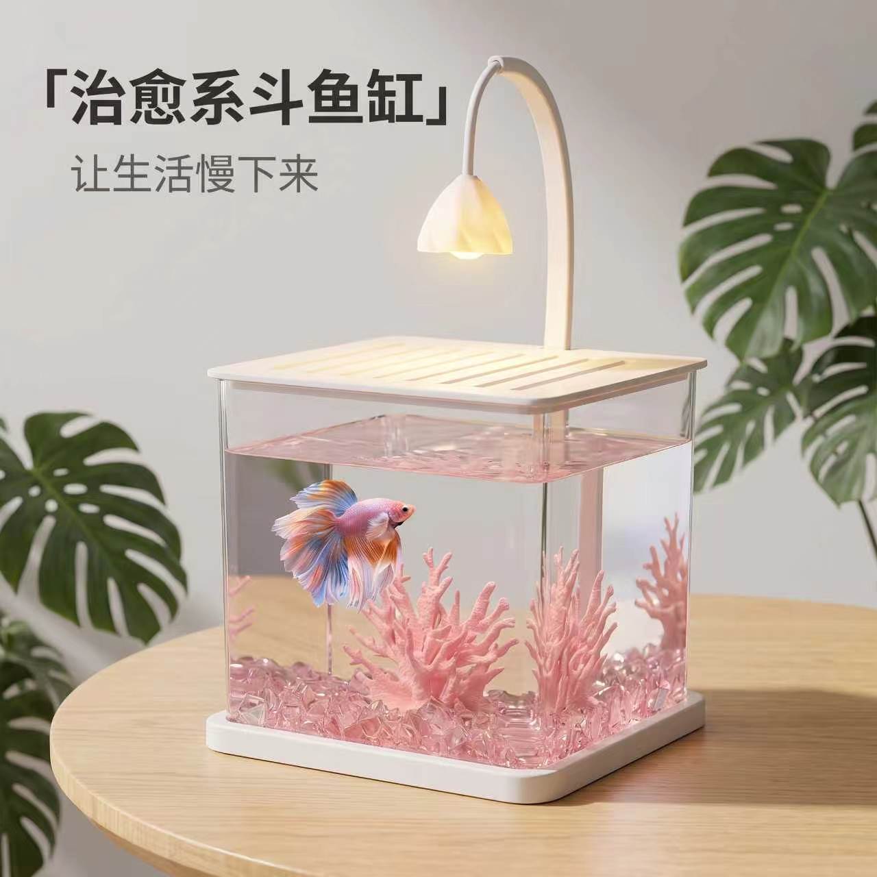 治愈系桌面方形小鱼缸