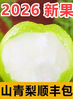 砀山翠冠梨顺丰包邮现摘现发