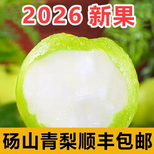 梨子新鲜水果现摘现发砀山翠玉梨5斤斤顺丰包邮皇冠梨果园直发