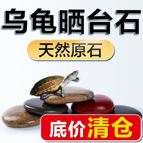 天然乌龟晒台爬台，扁平鹅卵石