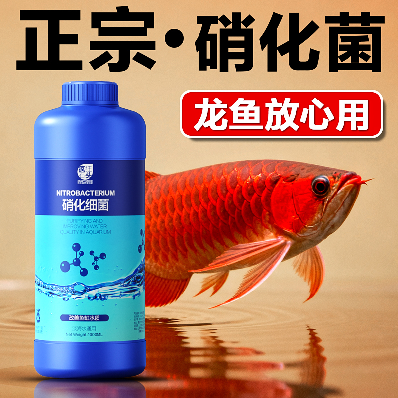 正品硝化活菌！净水培菌改善水质