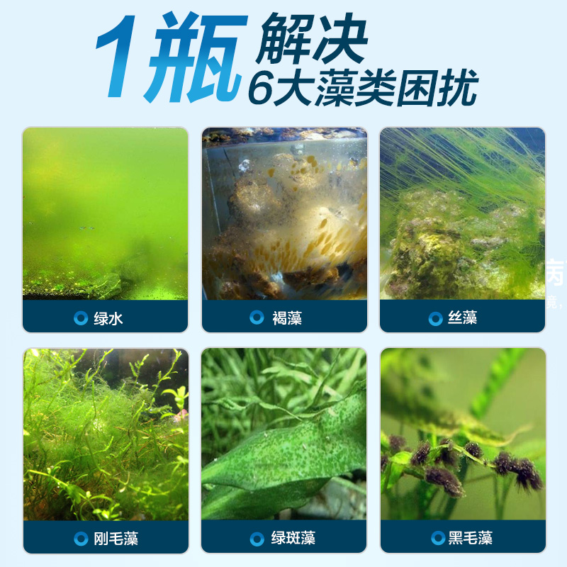 鱼缸除藻剂去苔剂绿水灭褐藻除苔素水族箱绿藻清除蓝藻药水青苔净