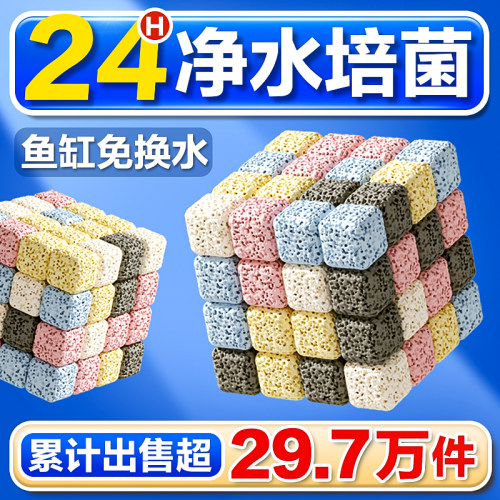 24小时净水培养硝化菌吸附有害物