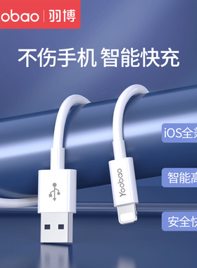 羽博数据线适用于苹果14手机充电器lightning数据线iPhone13promax 12充电插头线加长通用平板快充充电线2米