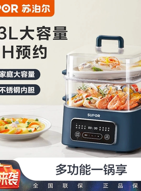 苏泊尔电蒸锅家用多功能双层蒸煮