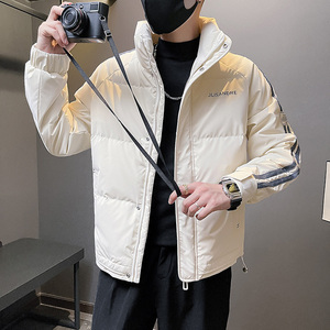 6662-P178 冬季休闲立领条纹潮流男士羽绒服保暖个性外套-7 控238图片