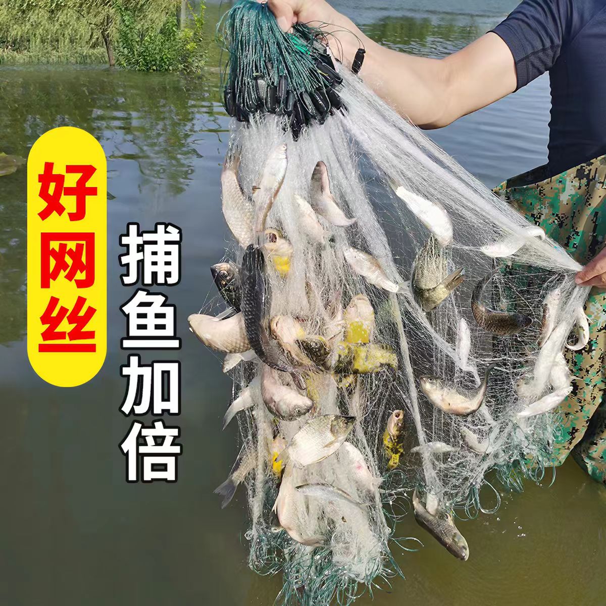 进口加粗单层白条粘网