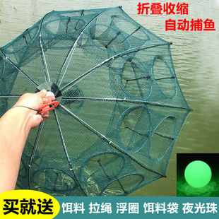 虾笼鱼网伞网伞笼折叠地网鱼笼捕虾网螃蟹笼渔网龙虾网泥鳅黄鳝笼