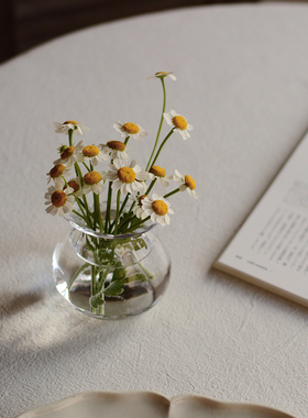 收集时光 Camus say玛格丽特花瓶 手工吹制水晶玻璃花插  包邮