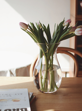 The Beauty 收集时光Camus say收腰玻璃花瓶毛茛郁金香 包邮