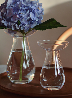 收集时光 Camus say盘口花瓶 手工吹制玻璃花器插绣球风信子 包邮