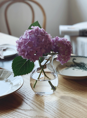 收集时光 Camus say 小夜曲花瓶 餐桌花瓶 手工玻璃花瓶 包邮