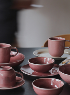 收集时光 Camus say英格列斯梅子红系列 汤盘大小碗咖啡杯马克杯